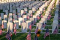 Military Headstones Decorated with Flags for Memorial Day Royalty Free Stock Photo