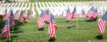 Military Headstones and Gravestones Decorated With Flags for Memorial Day Royalty Free Stock Photo