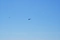 Military helicopter in the blue sky above the city. Royalty Free Stock Photo