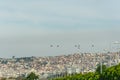 Military helicopters flying above a city.