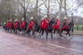 Military horse buckingham palace wet street london