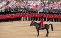 Military horse with rider taking part in the Trooping the Colour military ceremony at Horse Guards, London UK