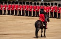 Military horse with rider taking part in the Trooping the Colour military ceremony at Horse Guards, London UK