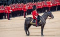 Military horse with rider taking part in the Trooping the Colour military ceremony at Horse Guards, London UK