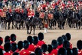 Military horses with riders taking part in the Trooping the Colour military ceremony at Horse Guards, London UK Royalty Free Stock Photo