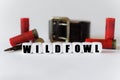 Against the background of cartridges and a military belt, cubes with the inscription - WILDFOWL