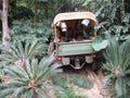 Military jeep in the forest