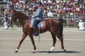 Military parade as part of the Fiestas Patrias commemorations in Santiago, Chile