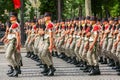 Military parade of National Gendarmerie (Defile) during the ceremonial of french national day, Cham