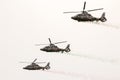 Military rescue Panther helicopters in air show