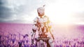 Military robot, cyborg with gun in lavender field. concept of the future. 3d rendering.