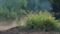 Military tank moving on background destroy building during hostilities