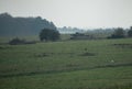 Military tank moving in a field Royalty Free Stock Photo