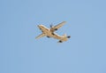 Military transport aircraft in flight