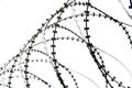 Military Twisted barbed wire on a white background, isolate. Concept: the Iron Curtain, the occupation regime, the ban on entry an Royalty Free Stock Photo