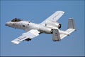 Military A10 Warthog Thunderbolt Jet Aircraft Royalty Free Stock Photo