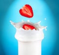 Milk Royalty Free Stock Photo