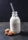 Milk of almonds nuts closeup Royalty Free Stock Photo