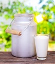 Milk in aluminum can and glass. Royalty Free Stock Photo