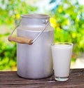 Milk in aluminum can and glass. Royalty Free Stock Photo