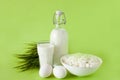 Milk in a bottle eggs cottage cheese and a glass of milk on a green background with grass