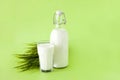 Milk in a bottle and a glass of milk on a green background with grass
