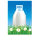 Milk bottle in summergrass field with chamomile Royalty Free Stock Photo