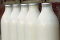 Milk bottles Royalty Free Stock Photo