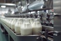 Milk bottles on a conveyor belt in a modern dairy factory Royalty Free Stock Photo