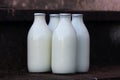 Milk bottles Royalty Free Stock Photo