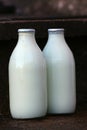 Milk bottles Royalty Free Stock Photo