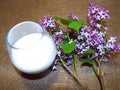 Milk and branch of lilac Royalty Free Stock Photo