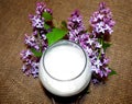 Milk and branch of lilac Royalty Free Stock Photo