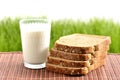 Milk with bread Royalty Free Stock Photo