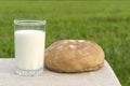 Milk and bread on a meadow