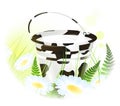 Milk bucket at meadow Royalty Free Stock Photo