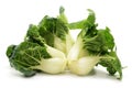 Milk cabbage bok choy