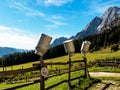 Milk cans on a mountain pasture Royalty Free Stock Photo