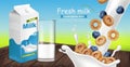 Milk and cereals Vector realistic with splash. Product placement mock up. Label design. Splash milk backgrounds Royalty Free Stock Photo