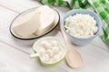 Milk cheese and curd Royalty Free Stock Photo