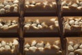 Milk chocolate bar with crushed hazelnuts