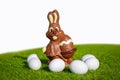 Decoration for the Easter with a chocolate bunny on the grass and white background. Royalty Free Stock Photo