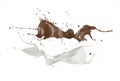 Milk and chocolate , or paint splashes in the air Royalty Free Stock Photo