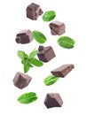 Milk chocolate pieces and mint falling on white background Royalty Free Stock Photo