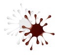 Milk and chocolate splashes on a white background Royalty Free Stock Photo