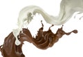 Milk and chocolate stream splashes flying in the air Royalty Free Stock Photo