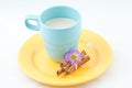 Milk and cinnamon Royalty Free Stock Photo
