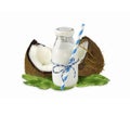 Milk of coconut and fresh coconuts isolated on white background. Royalty Free Stock Photo
