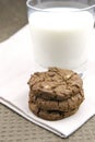 Milk And Cookies Royalty Free Stock Photo
