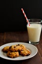 Milk and cookies Royalty Free Stock Photo